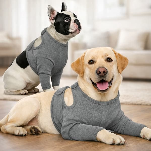 Two dogs wearing gray recovery suits on a wooden floor.