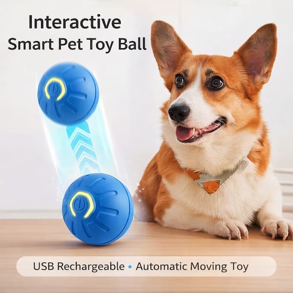 Interactive smart moving ball toy for dogs and cats USB rechargeable automatic pet toy for indoor play