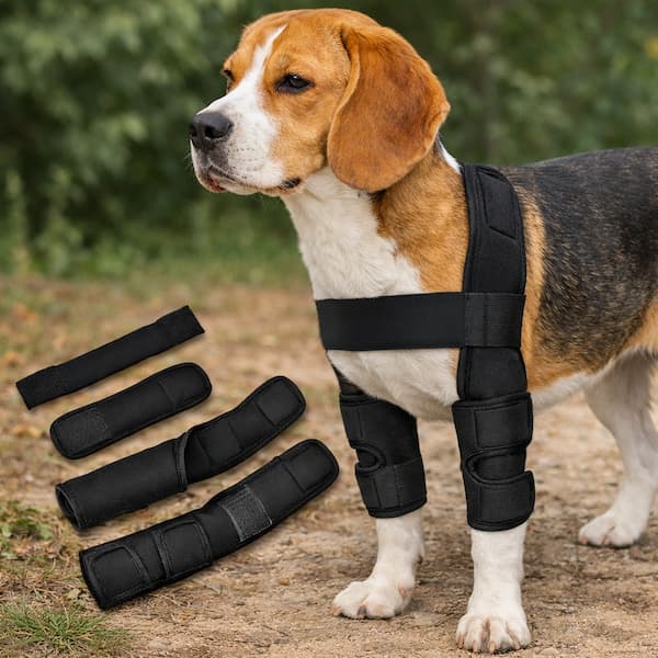 dog wearing adjustable front leg support wrap breathable dog leg brace for comfort and stability