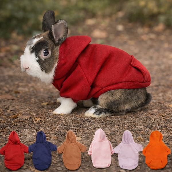 rabbit wearing warm winter hoodie sweater clothing for small pets rabbits guinea pigs puppies