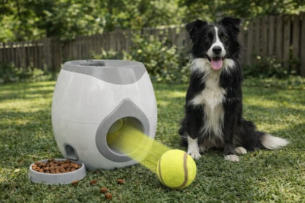 interactive dog treat dispenser toy with rolling tennis ball feeder for dog enrichment and mental stimulation outdoors