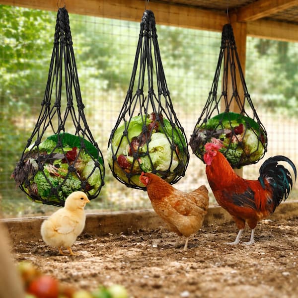 hanging chicken treat net bag with cabbage and vegetables poultry feeder for chickens ducks and geese enrichment toy