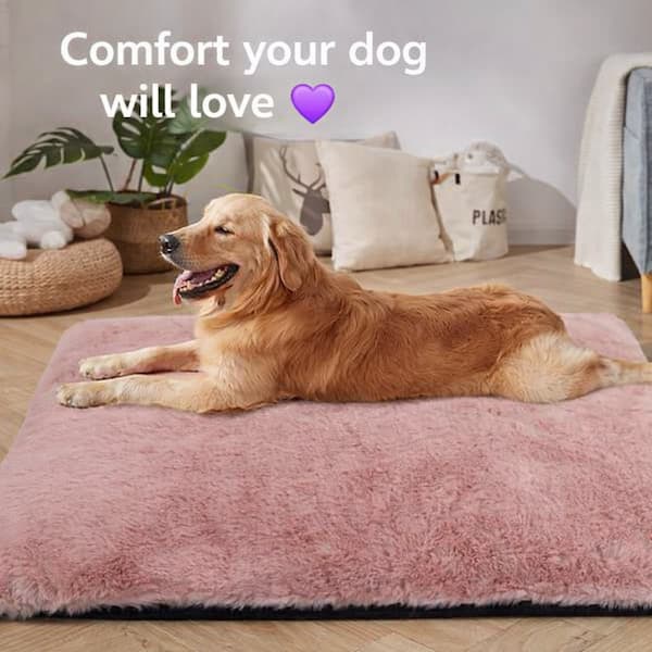 large dog lying on soft washable dog bed mat indoor