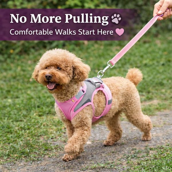 adjustable no pull dog harness leash set breathable mesh vest small dog cat harness reflective