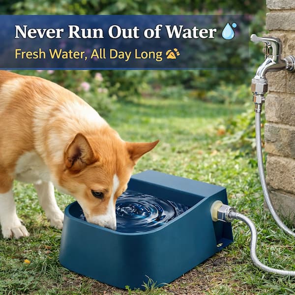 automatic outdoor pet water dispenser self filling dog bowl hose connected water bowl for dogs cats chickens