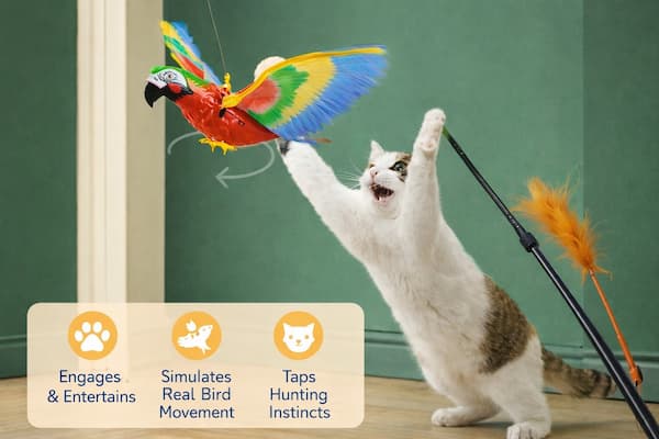 interactive flying bird cat toy electric teaser