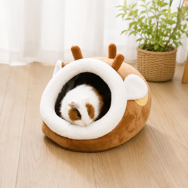  Guinea pig inside a brown and white snail-shaped pet bed on a wooden floor.