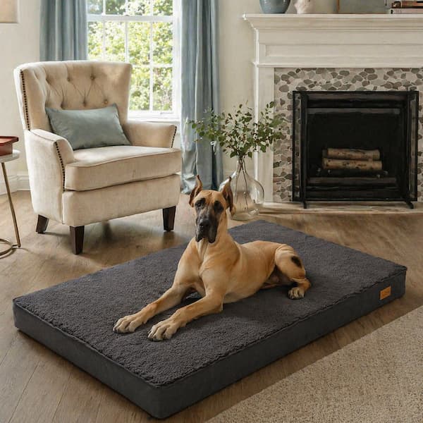 large dog resting comfortably on thick orthopedic support dog bed at home