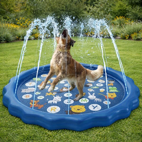 Dog playing with a blue inflatable water play mat on grass