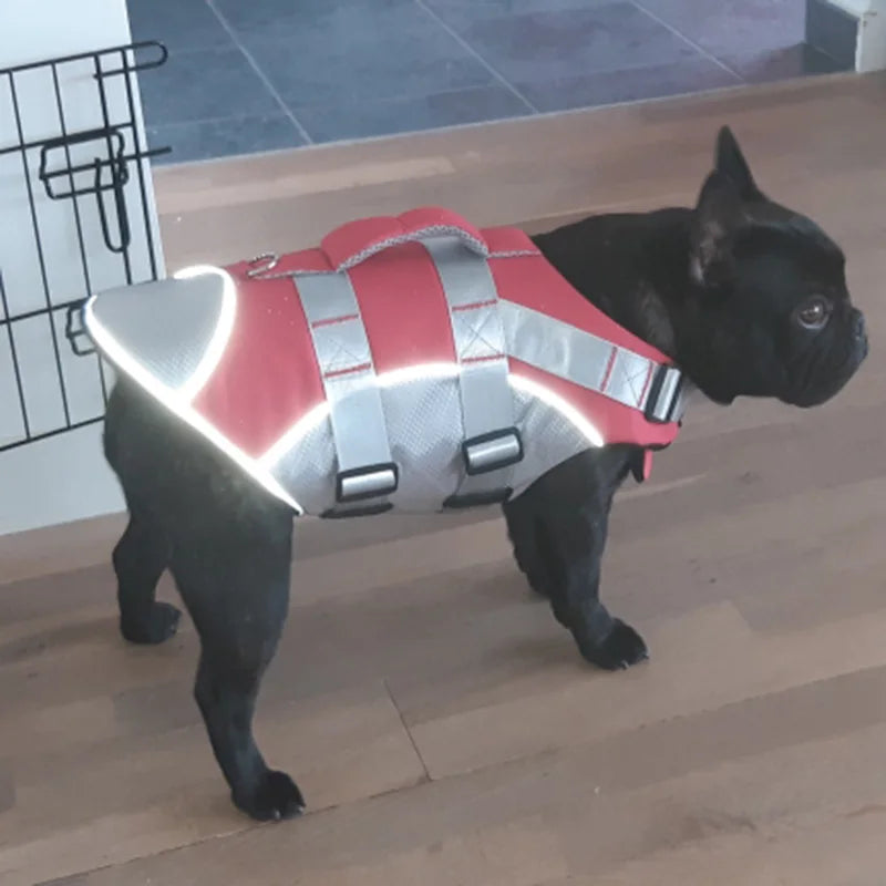 reflective dog life jacket safety vest for swimming beach and pool use