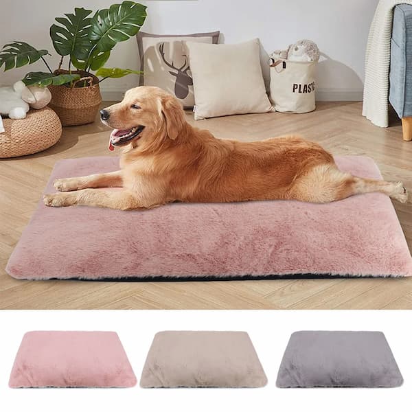 large dog lying on soft washable dog bed mat indoor
