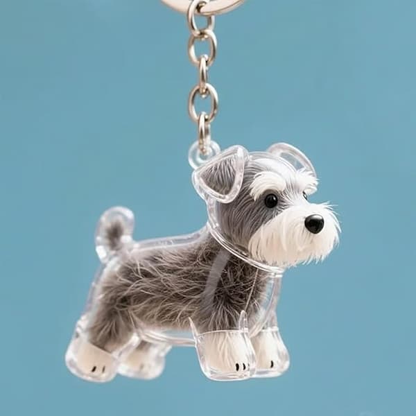 Pet Hair Keepsake Keychain – Transparent jar pendant designed to store pet fur or whiskers, ideal memorial gift for dog and cat owners.
