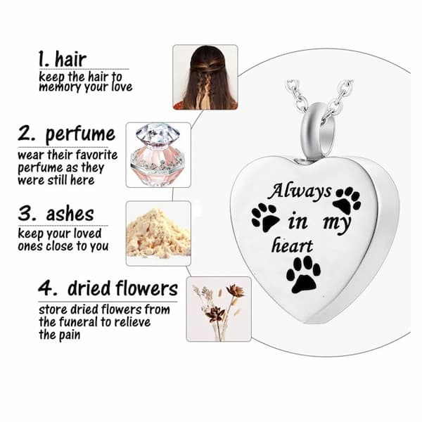 Heart-shaped pendant with paw prints and 'Always in my heart' text, surrounded by options for storing hair, perfume, ashes, and dried flowers.