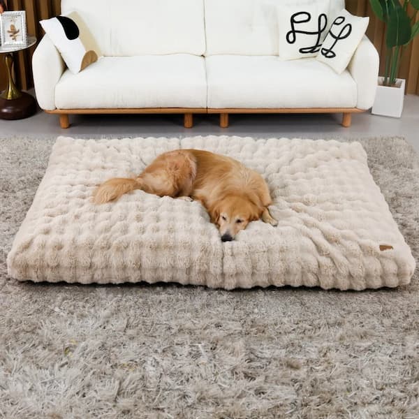 Golden retriever resting on a light blue thick plush orthopedic dog bed.