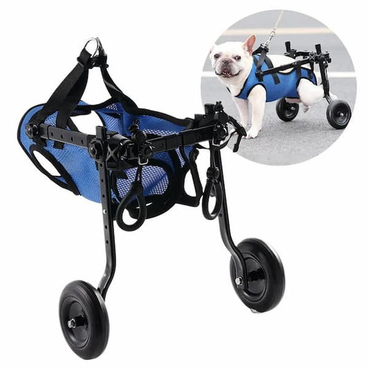 Blue pet wheelchair with a dog inside on a white background