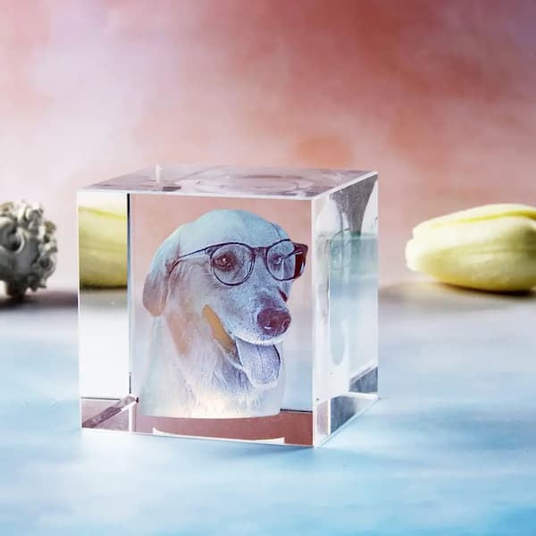 Clear crystal block with a dog wearing glasses inside, placed on a reflective surface with a blurred background.