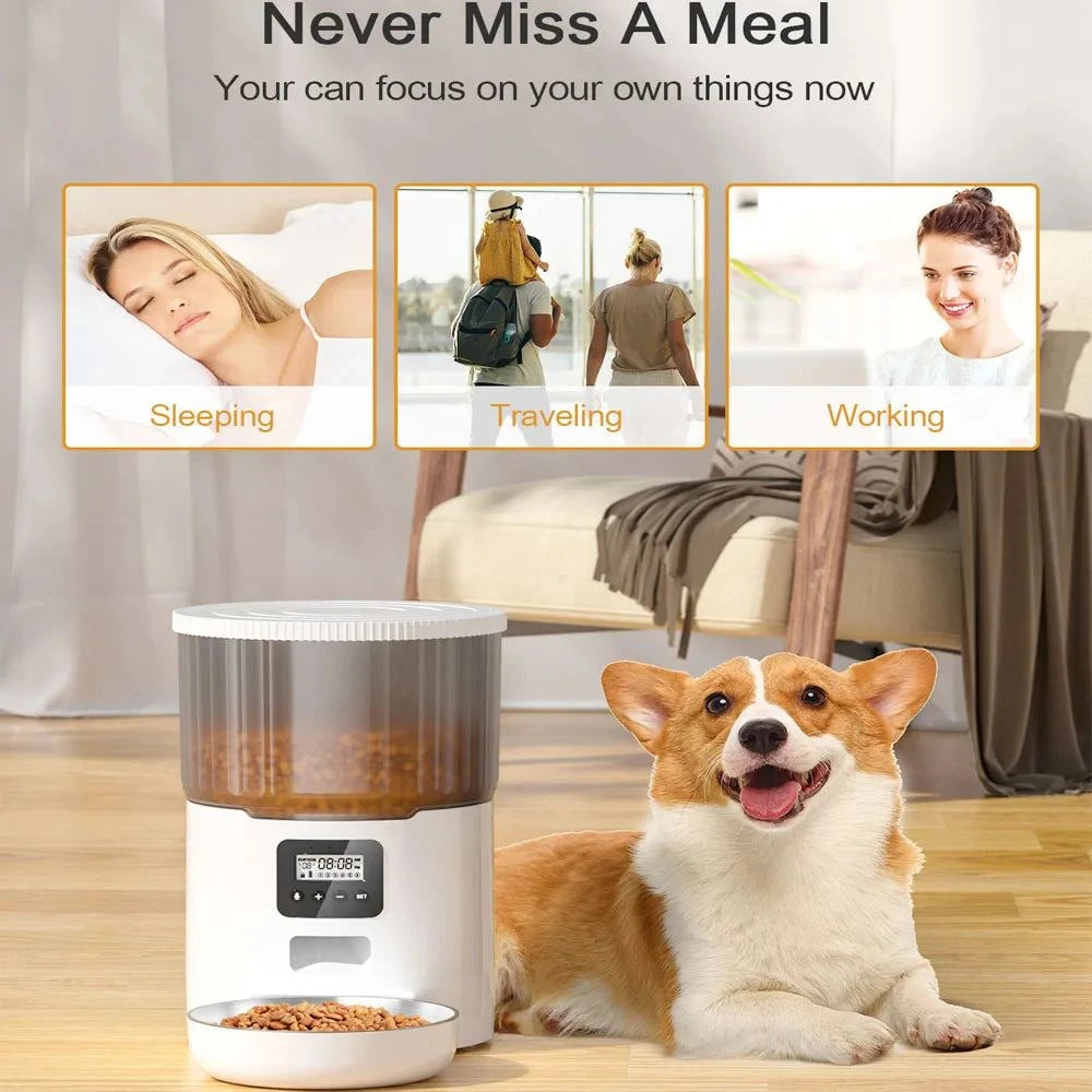 4L And 2l Wifi Automatic Pet Feeder And Pet Water Fountain