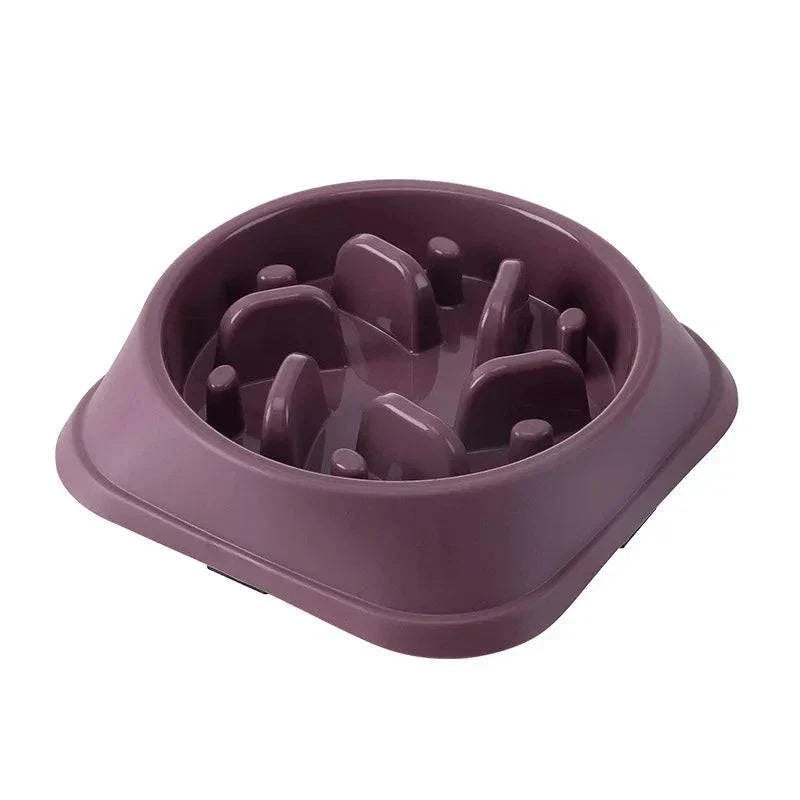 Anti-choking slow feeding pet bowl with non-slip base for healthy eating.