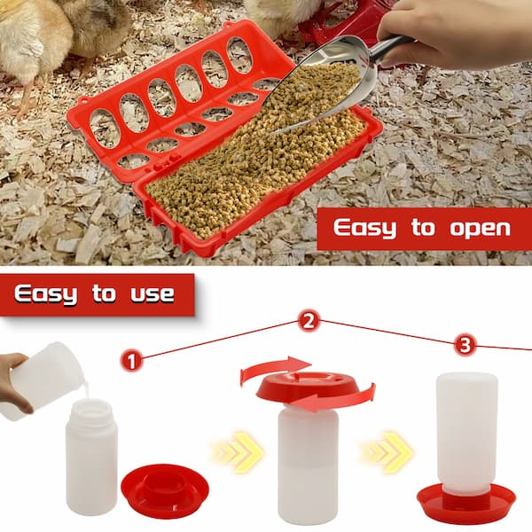 automatic chick feeder and water dispenser for chickens and quail reducing mess and keeping food and water clean