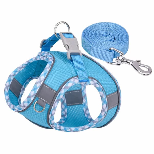 Blue dog harness and leash set with checkered pattern on a white background