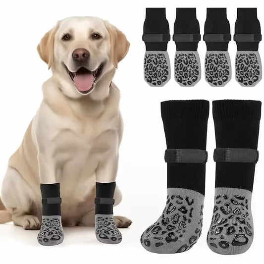 dog wearing anti slip socks for better grip on indoor floors and paw protection