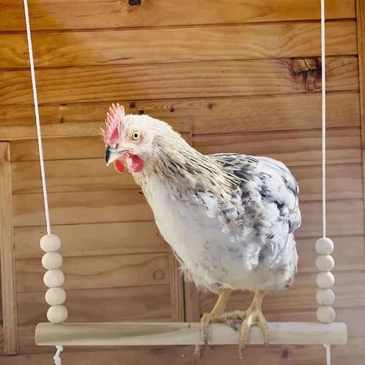 wooden hanging chicken swing perch toy for backyard chicken coop enrichment