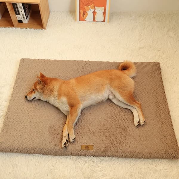 orthopedic dog bed with 3d foam support washable waterproof anti slip pet bed for large and small dogs cozy faux fur dog mattress