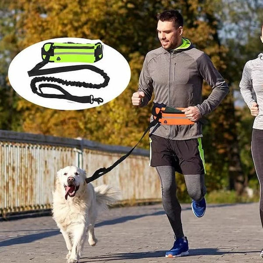 hands free dog leash with waist bag elastic running leash for walking and jogging