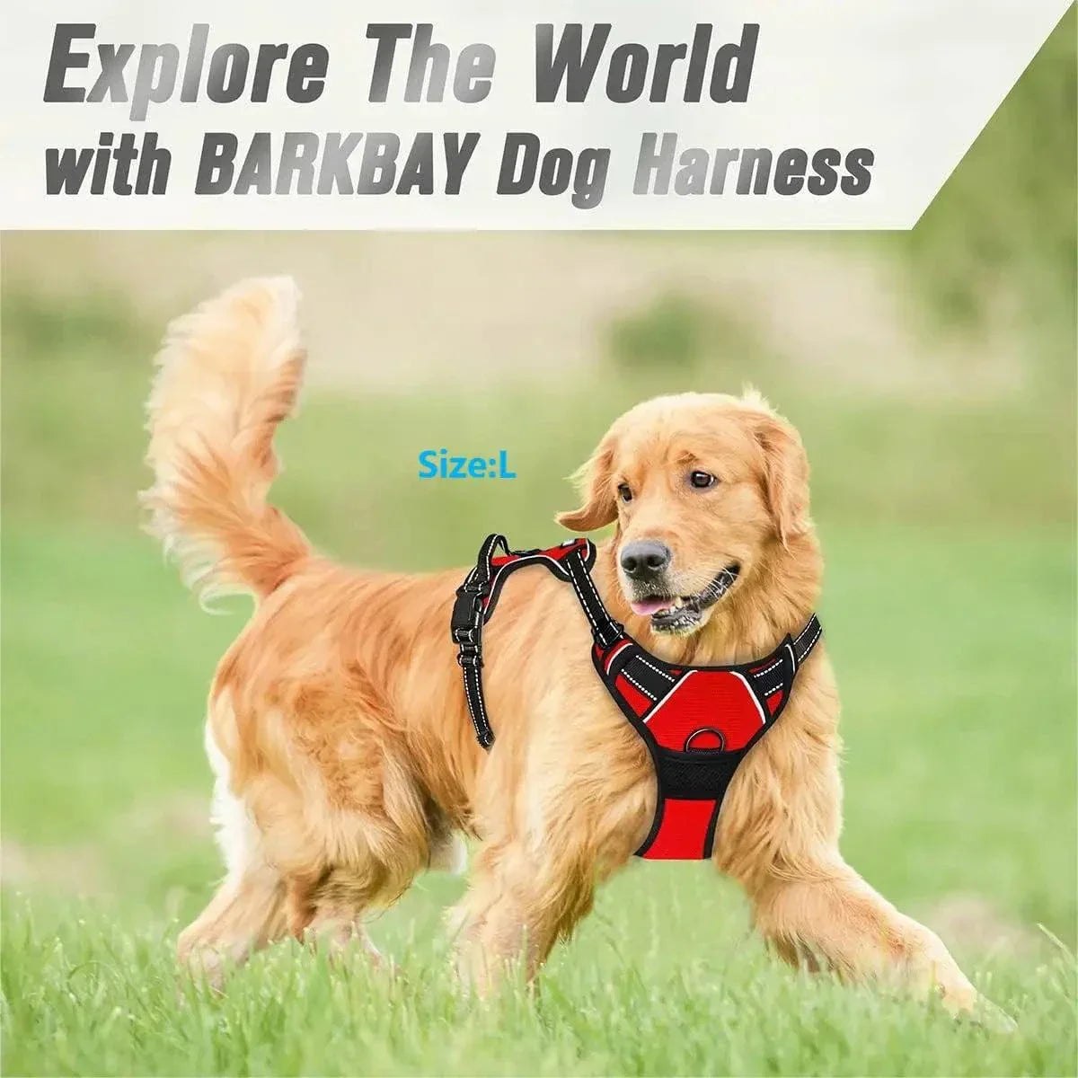 No Pull Dog Harness with Reflective Straps, Front Clip, and Easy-Control Handle for Large Dogs Walking and Training