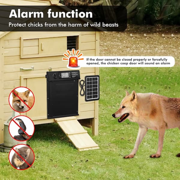 Chicken coop with alarm function to protect chicks from wild beasts, featuring a dog and illustrations of predators.