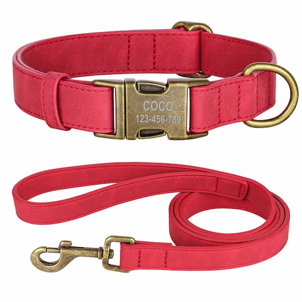Engraved ID buckle dog collar with matching leash – Jo’s Pet Deals