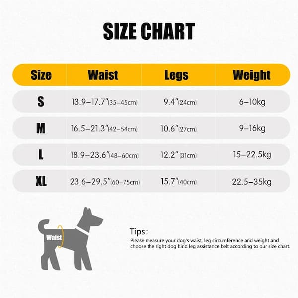 Dog size chart with measurements for waist, legs, and weight.