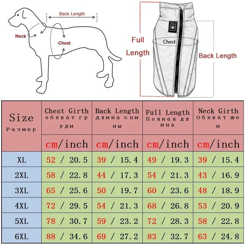 Size chart for large dog padded jacket showing dimensions for chest, back, full length, and neck girth in cm/inch.