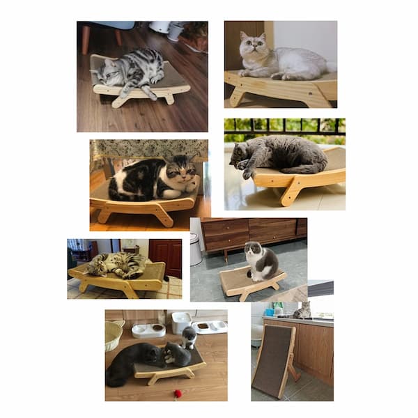 Collage of cats using a wooden pet ramp in various home settings.