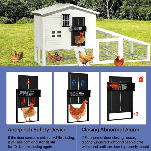 Chicken coop with chickens and anti-pinch safety device and closing abnormal alarm system.