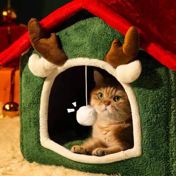 Cat inside a green pet house with reindeer antlers on a dark background