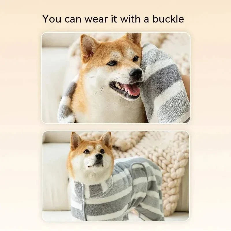 Dog wearing a striped, absorbent bathrobe with a buckle, ideal for medium and large breeds.