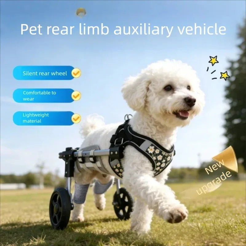 White dog using a pet rear limb auxiliary vehicle in an outdoor setting