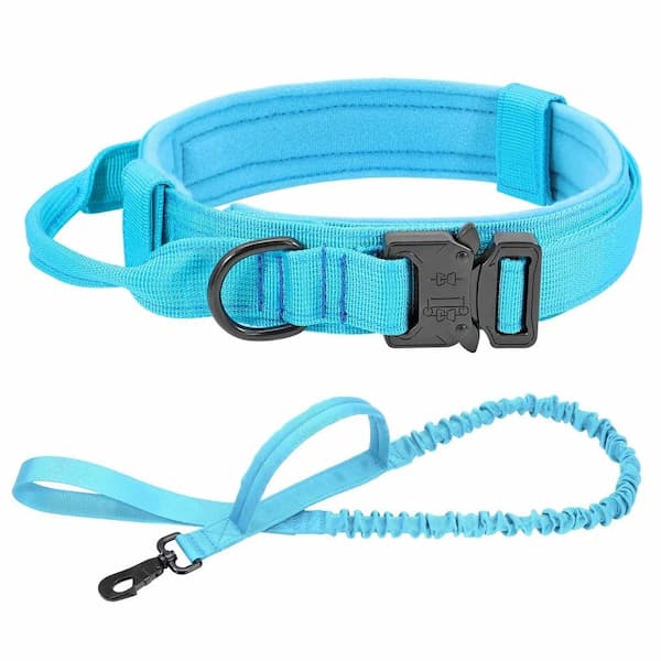Blue dog tactical collar and leash set on a white background