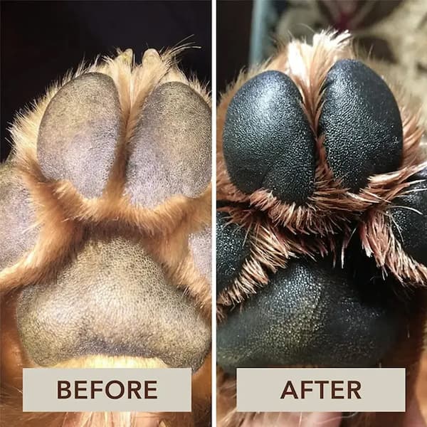 Natural dog paw balm moisturizer for dry cracked paw pads and paw protection