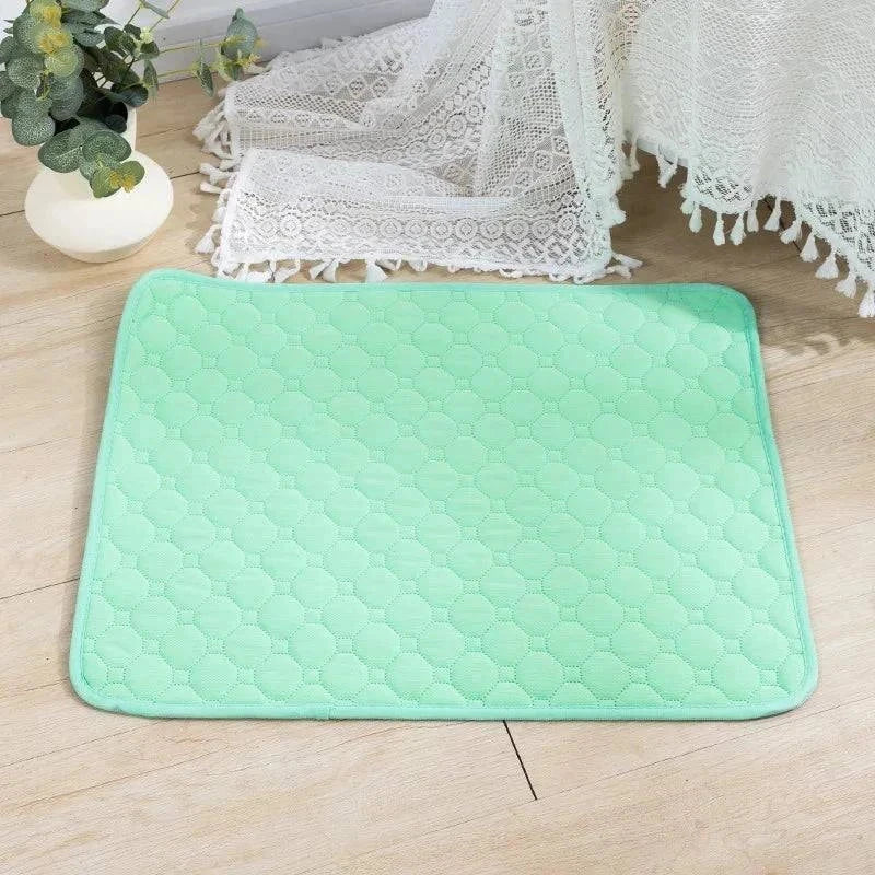 Reusable absorbent dog pee pad blanket, washable training pad for dogs, waterproof and multi-purpose for home and travel.