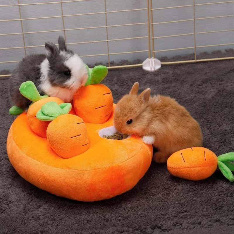 Two adorable baby rabbits playing with a plush carrot-shaped snuffle mat toy, ideal for encouraging natural foraging and feeding habits in small pets like rabbits, guinea pigs, and hamsters.