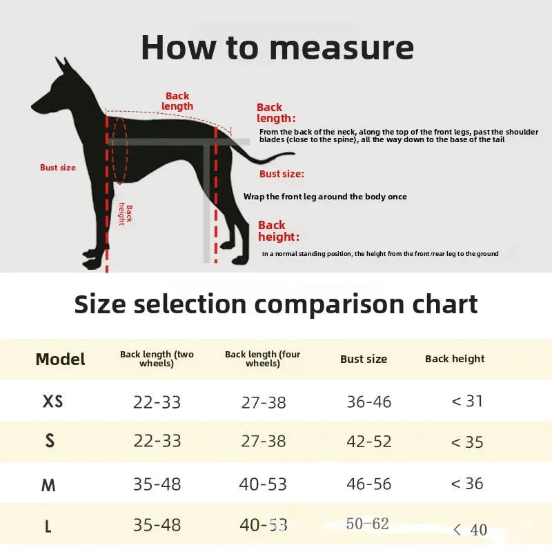 Measurement guide for dogs with a size selection comparison chart below.