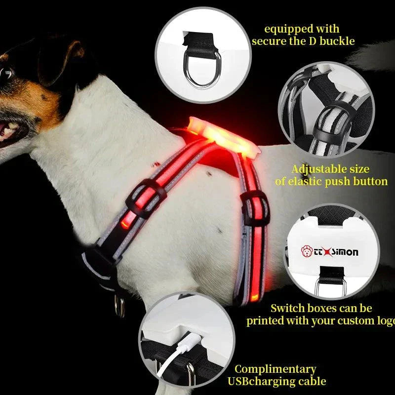 LED Dog Harness Pet Rechargeable Adjustable Flashing Waterproof Collar