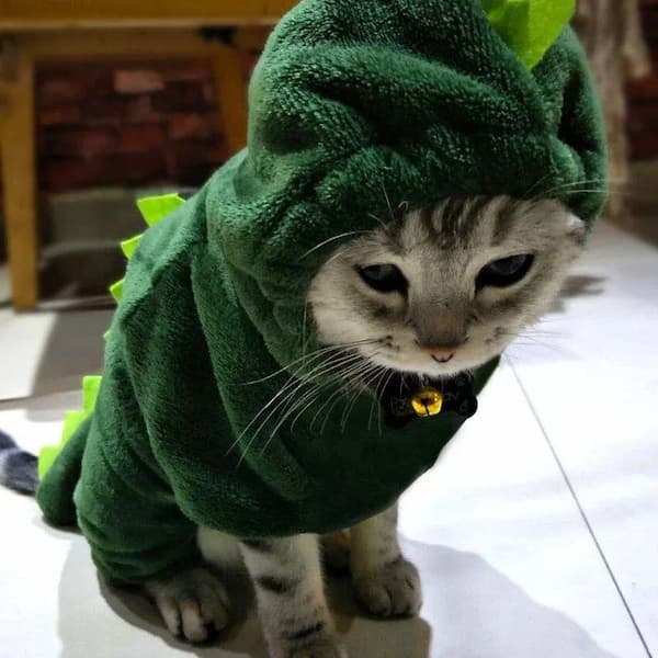Cat wearing a green dinosaur costume on a tiled floor.