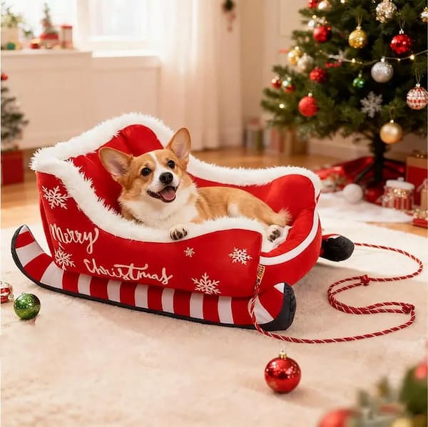 Dog lying in a festive red and white sleigh with Christmas decorations in the background.