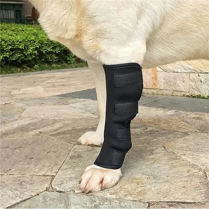 Pair of black adjustable dog knee braces – joint support pads for front or rear legs, suitable for small to large breeds