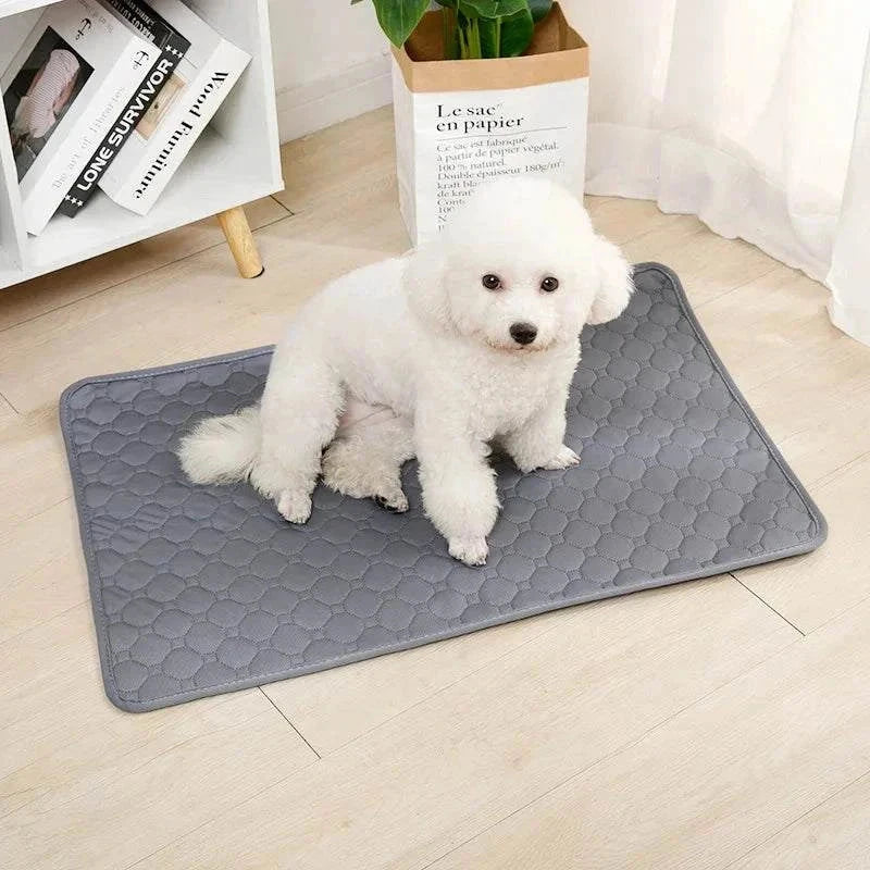 Reusable absorbent dog pee pad blanket, washable training pad for dogs, waterproof and multi-purpose for home and travel.