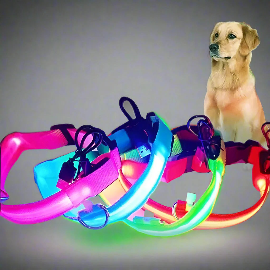 LED Nylon Dog and Cat Collar | Glow-in-the-Dark Safety Accessory for Night Walks