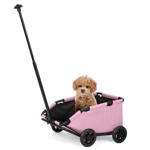 Small dog sitting in a pink pet stroller on a white background